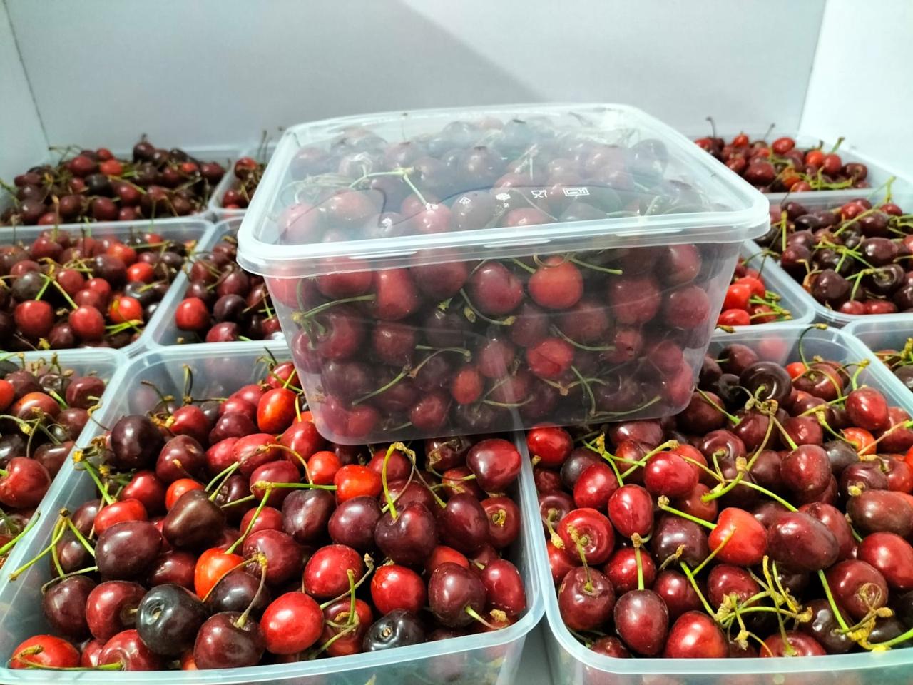 Hunza Cherries